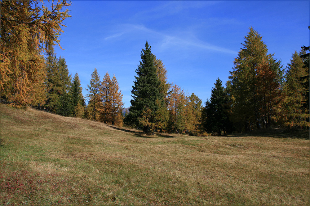 Farben der Natur