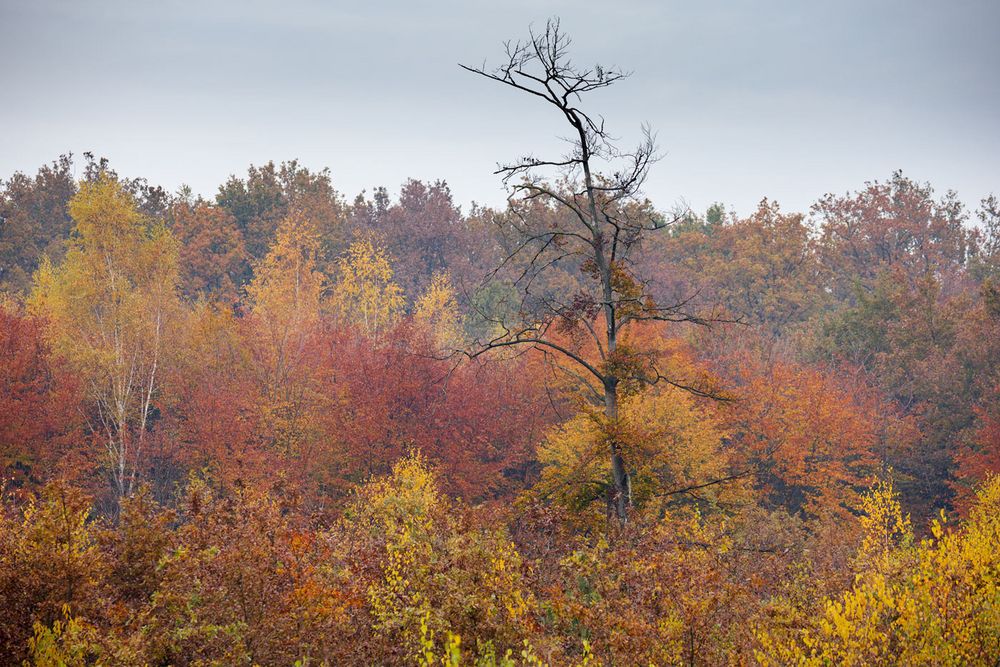 Farben der Natur