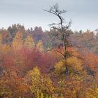 Farben der Natur