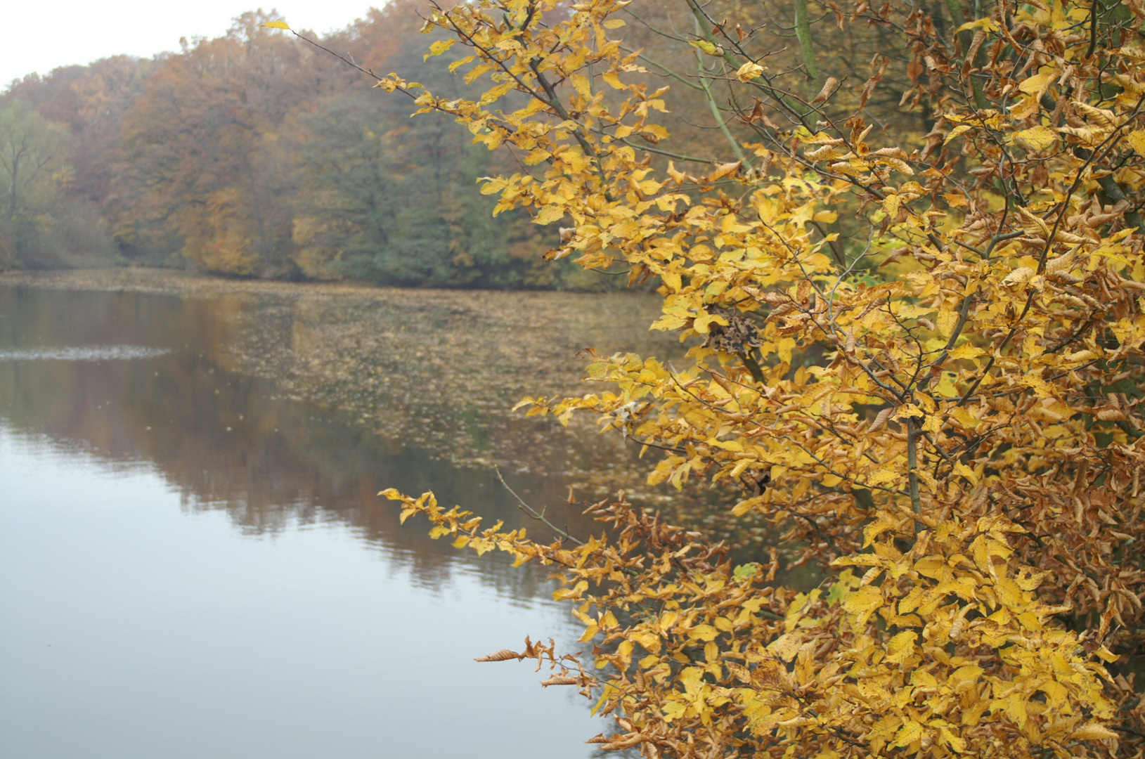 Farben der Natur