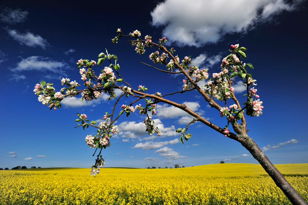 Farben der Natur