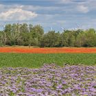 Farben der Natur