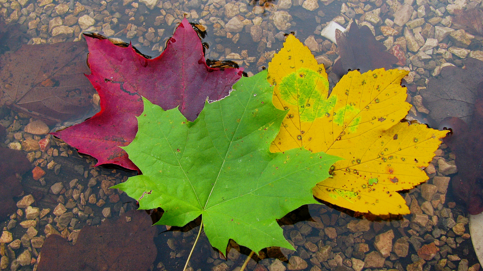 Farben der Natur