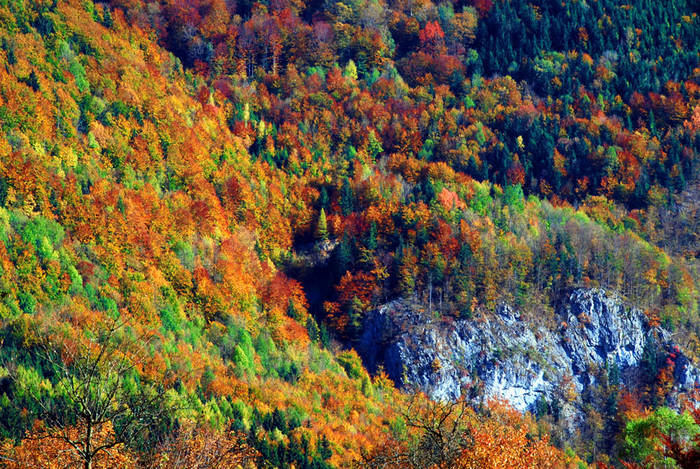 Farben der Natur von Werner Hentscholek