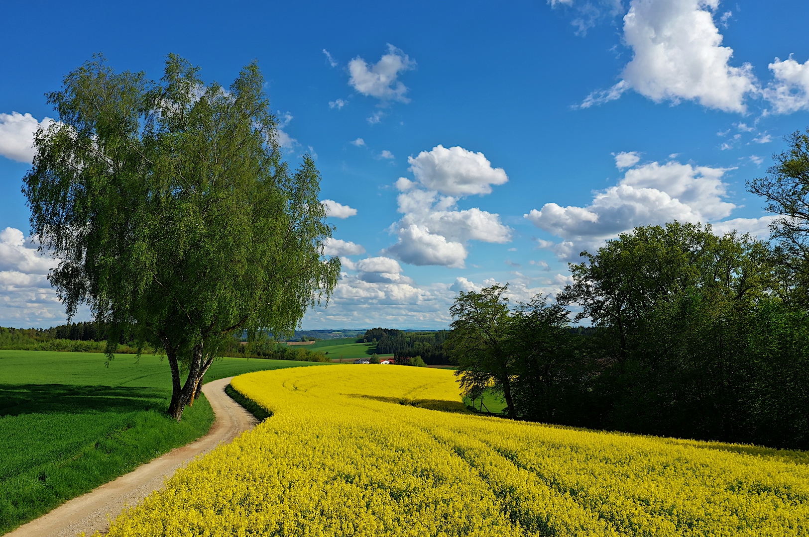 Farben der Natur