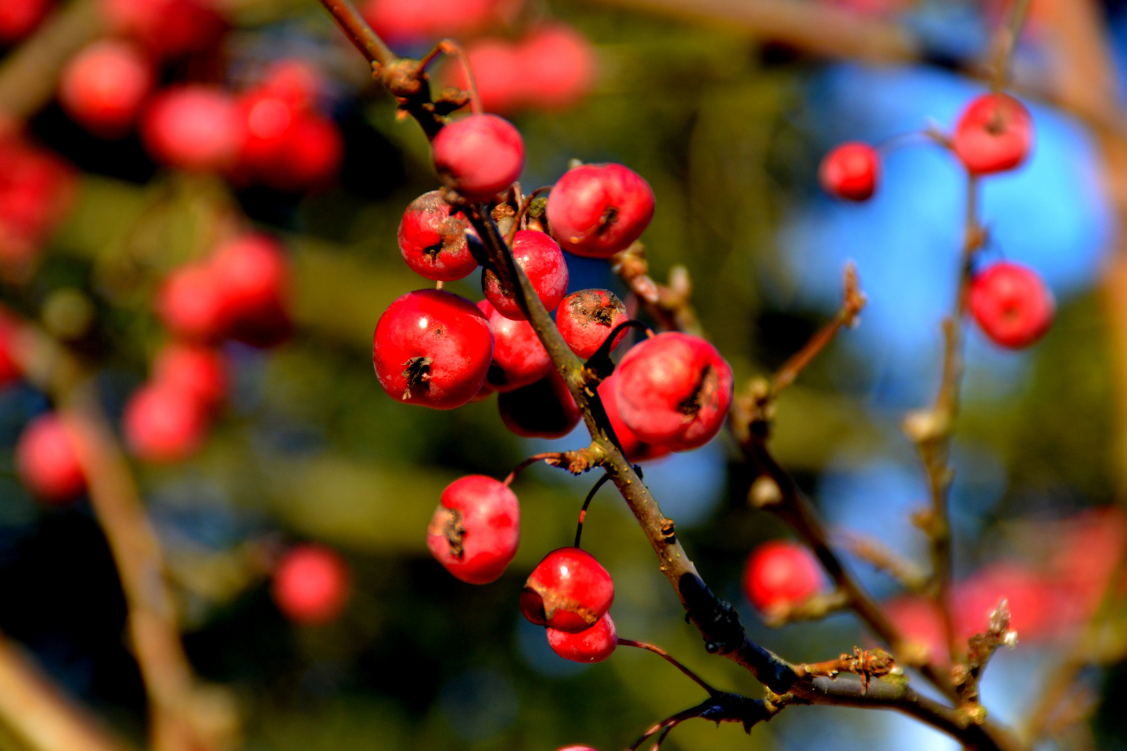 Farben der Natur