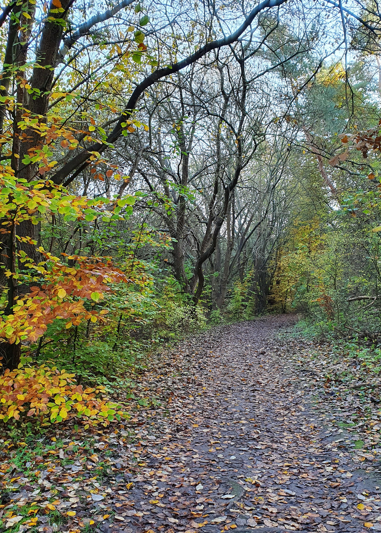 Farben der Natur 