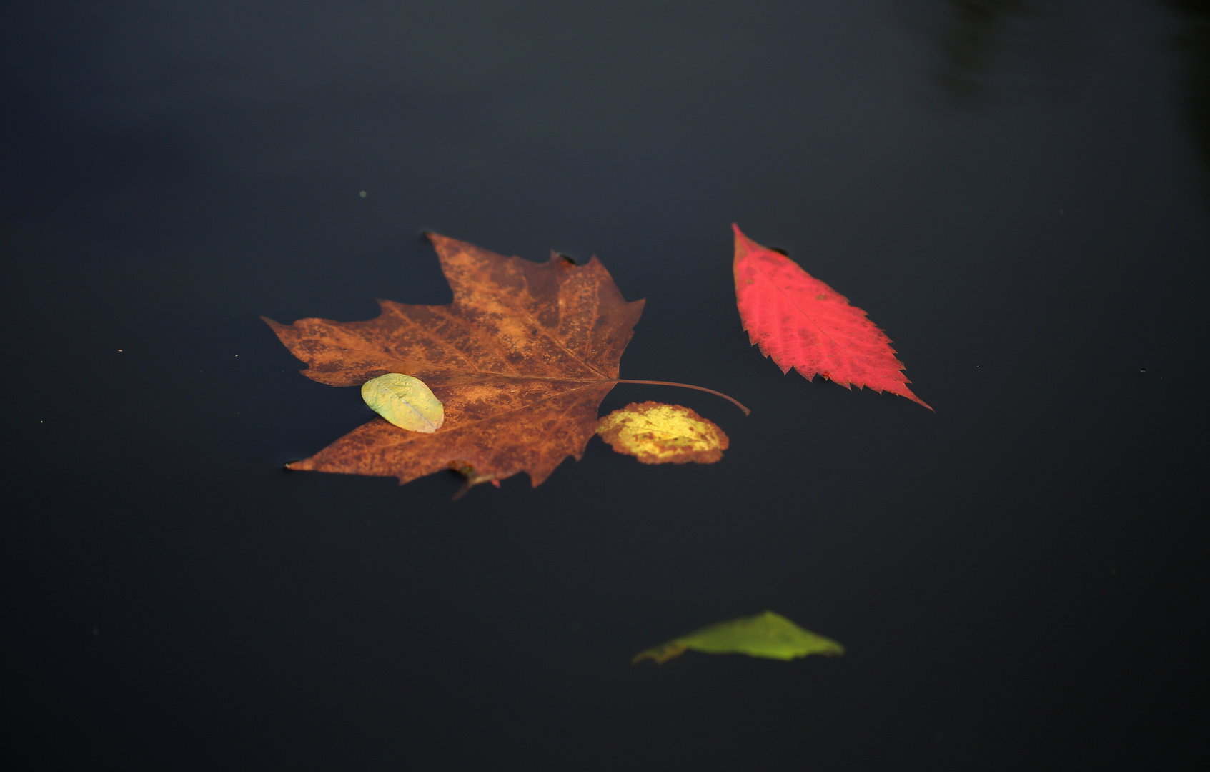 Farben der Natur