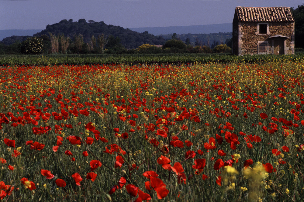 Farben der Provence