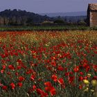 Farben der Provence