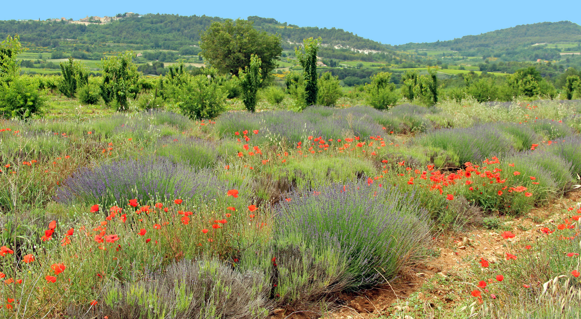 Farben der Provence