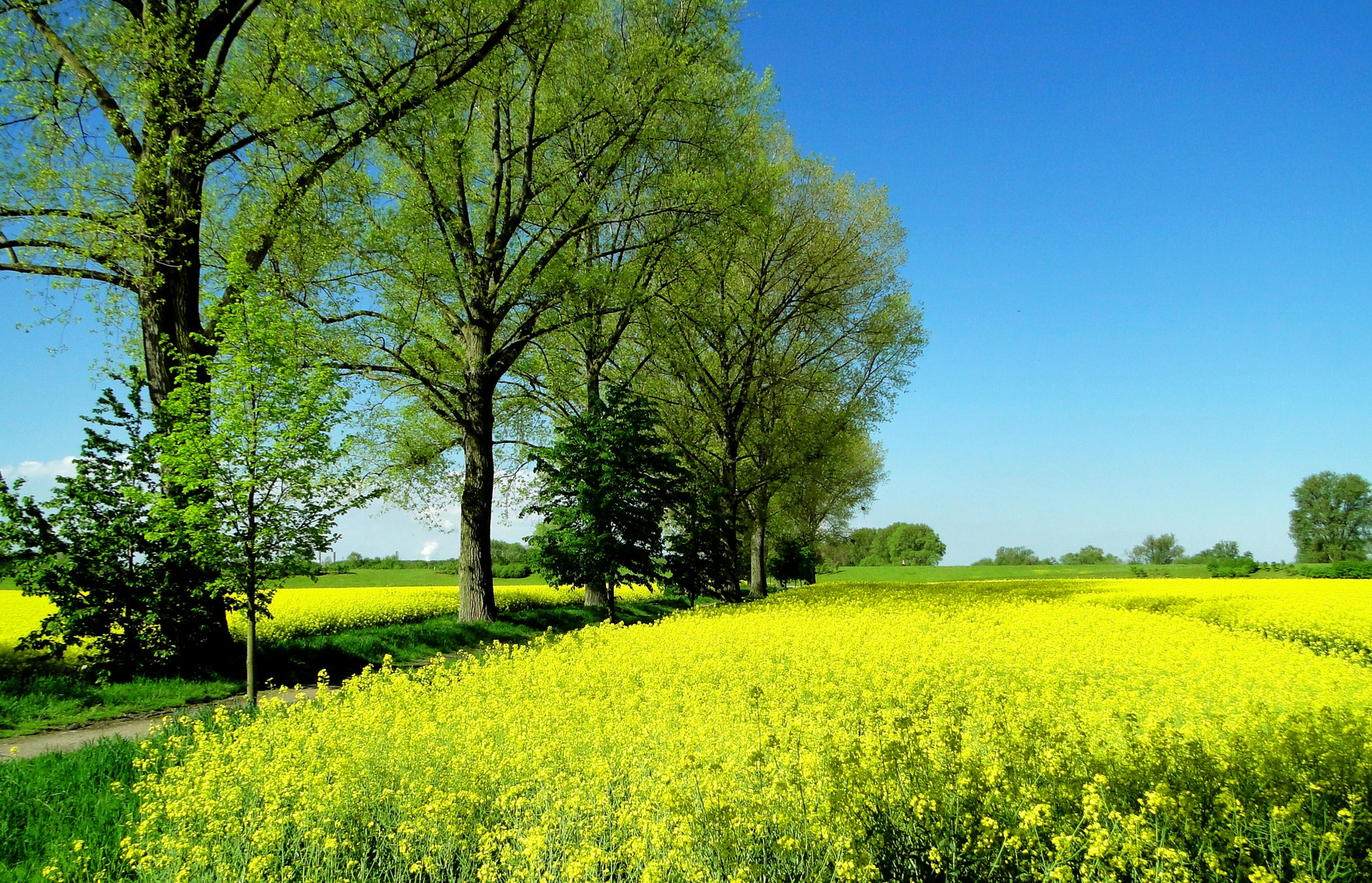 Farben der Saison ...