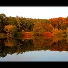 Farben der Saison