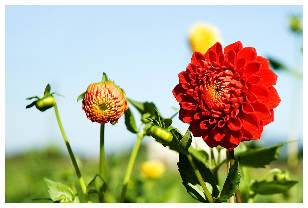 Farben der Saison