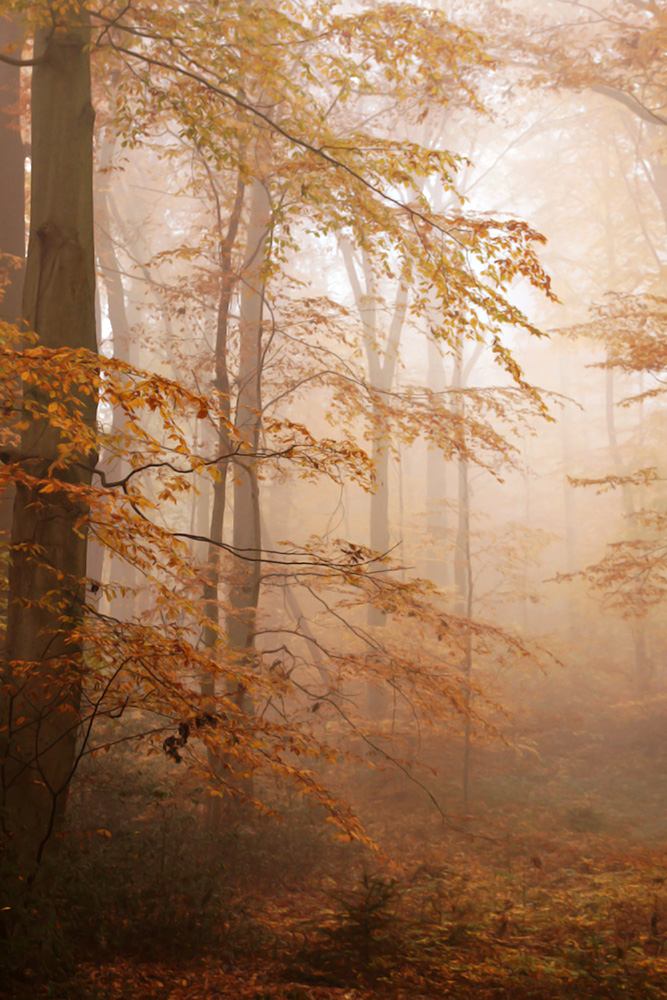 Farben der Saison I