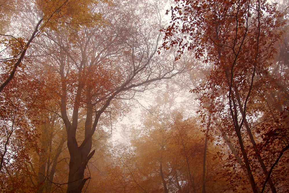 Farben der Saison II