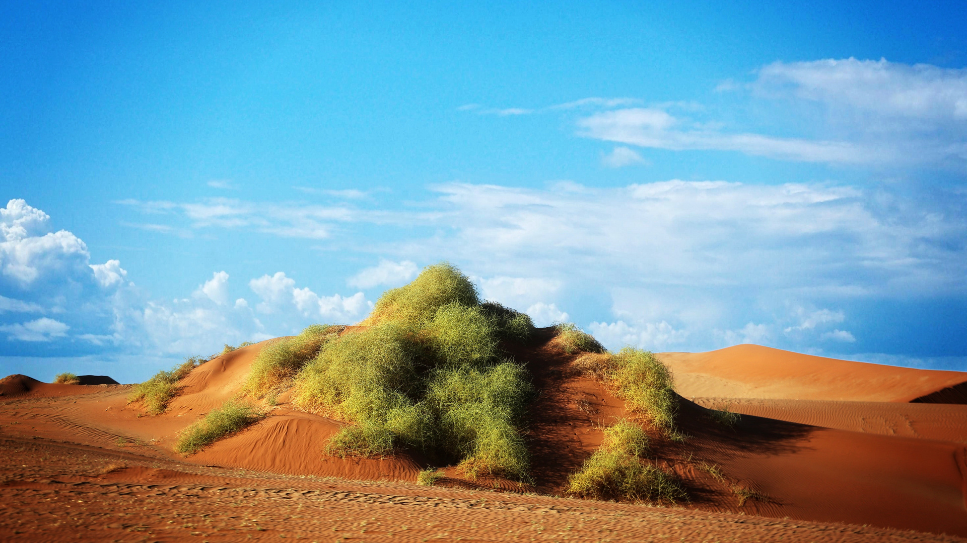 Farben der Wüste