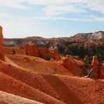 Farben des Bryce - Morgens am Navajo Loop Trail