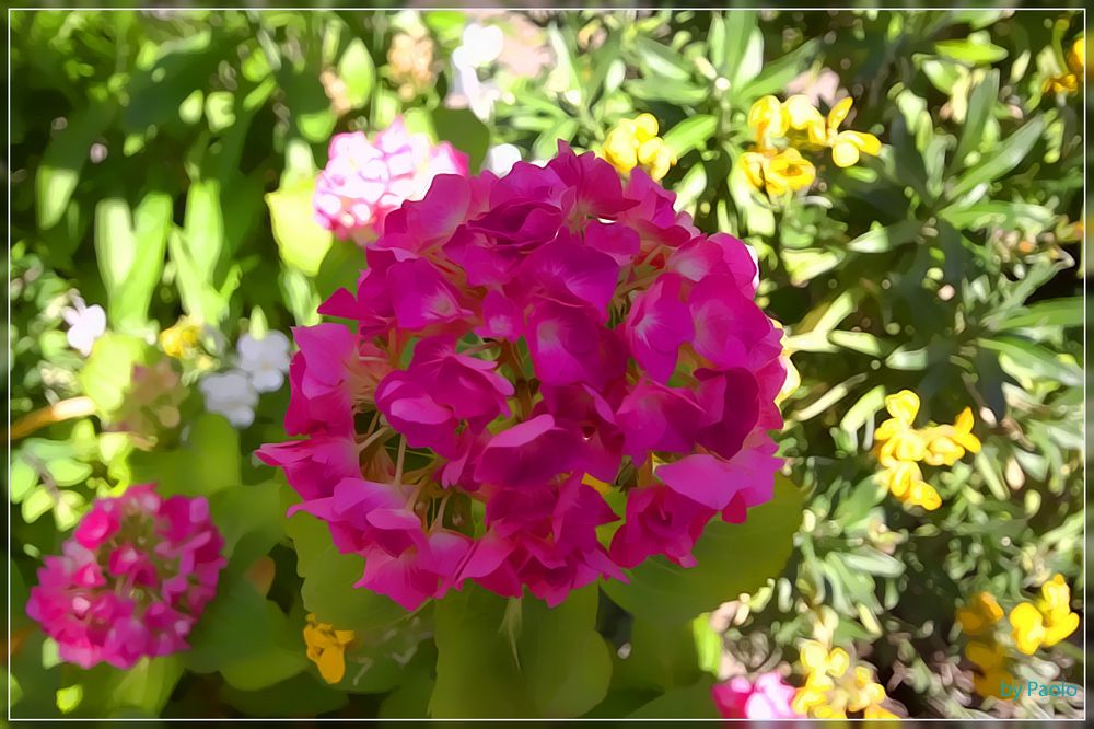 Farben des Frühlings