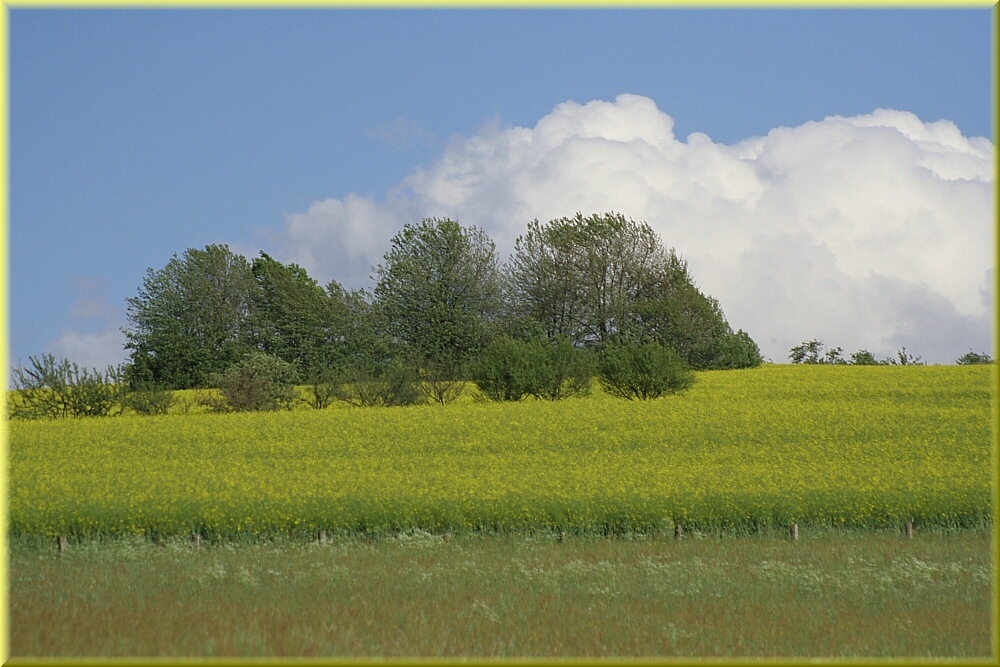 . . . . Farben des Frühlings . . . .