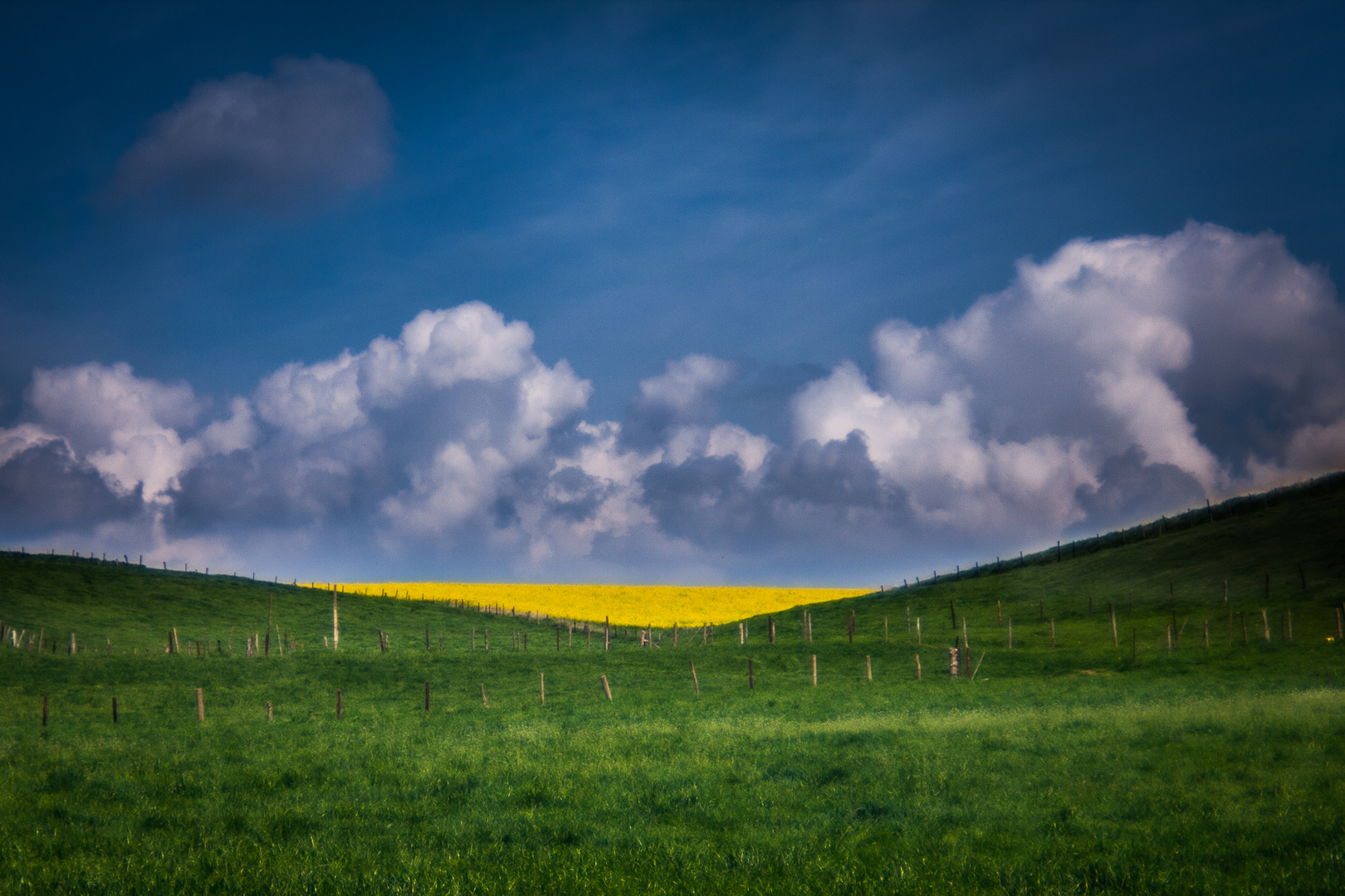 Farben des Frühlings