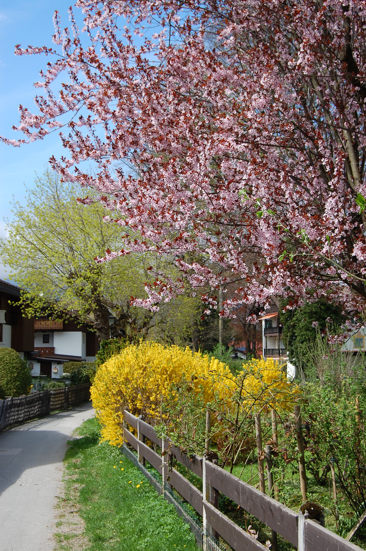 Farben des Frühlings