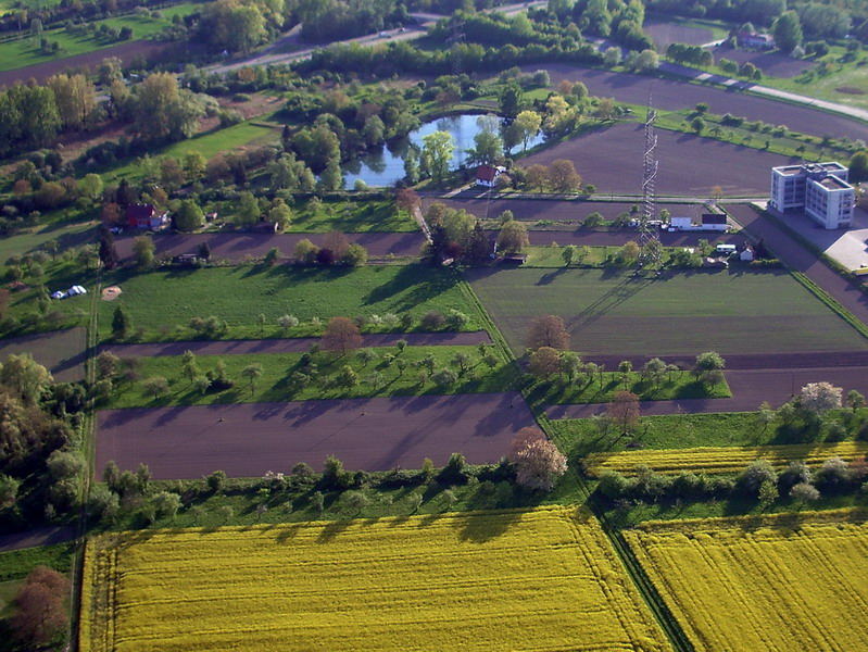 Farben des Frühlings