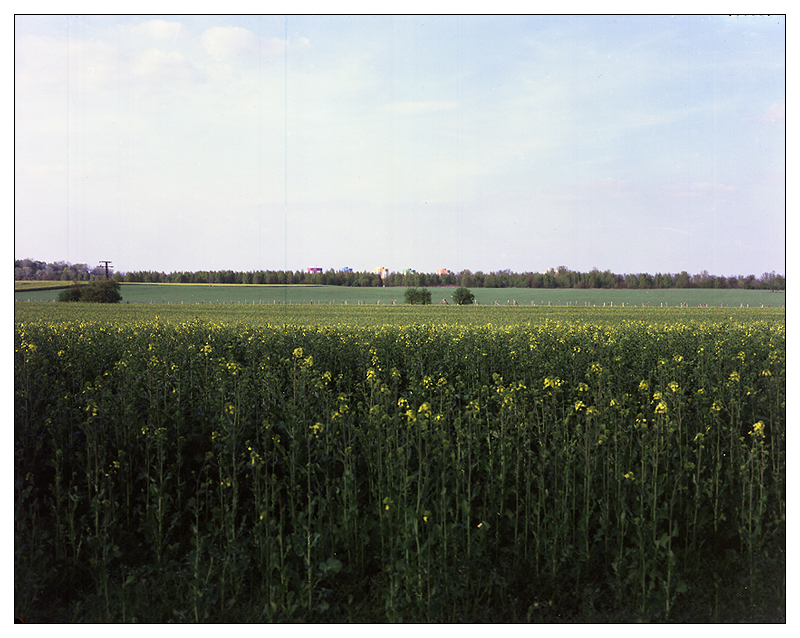 Farben des Frühlings