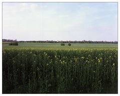 Farben des Frühlings