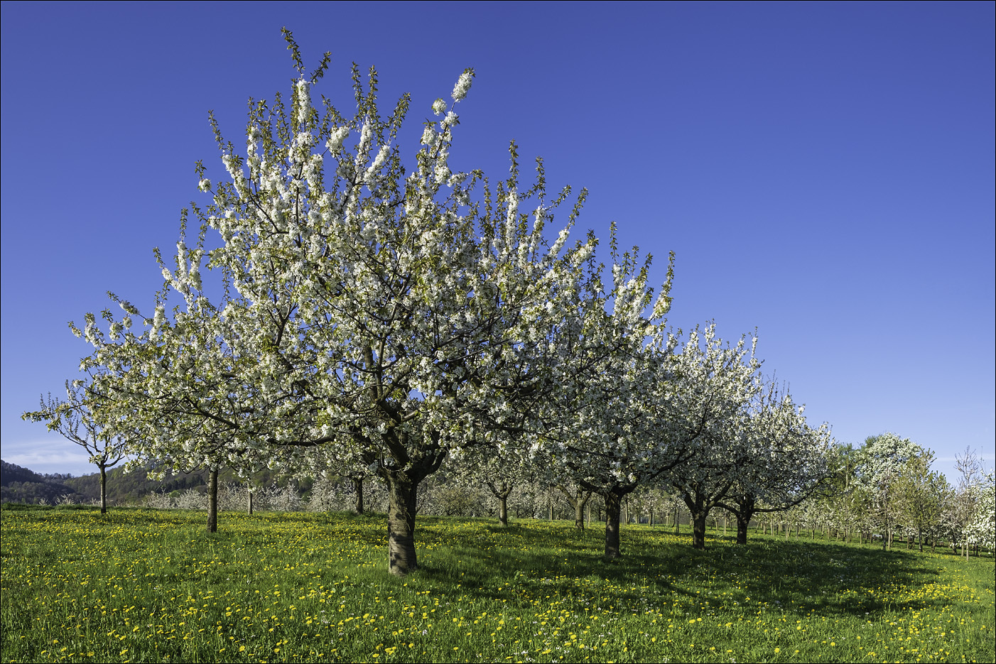 Farben des Frühlings