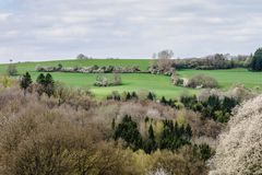 Farben des Frühlings