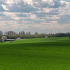 Farben des Frühlings