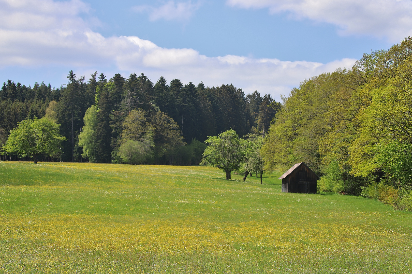 Farben des Frühlings