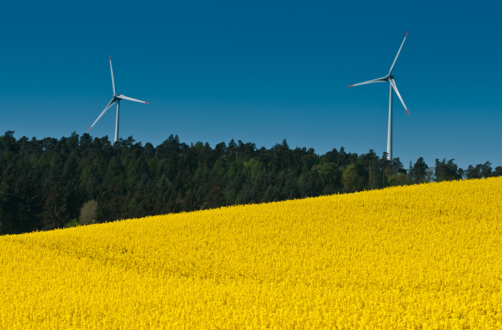 Farben des Frühlings