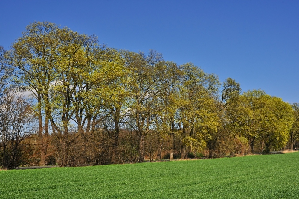 Farben des Frühlings......