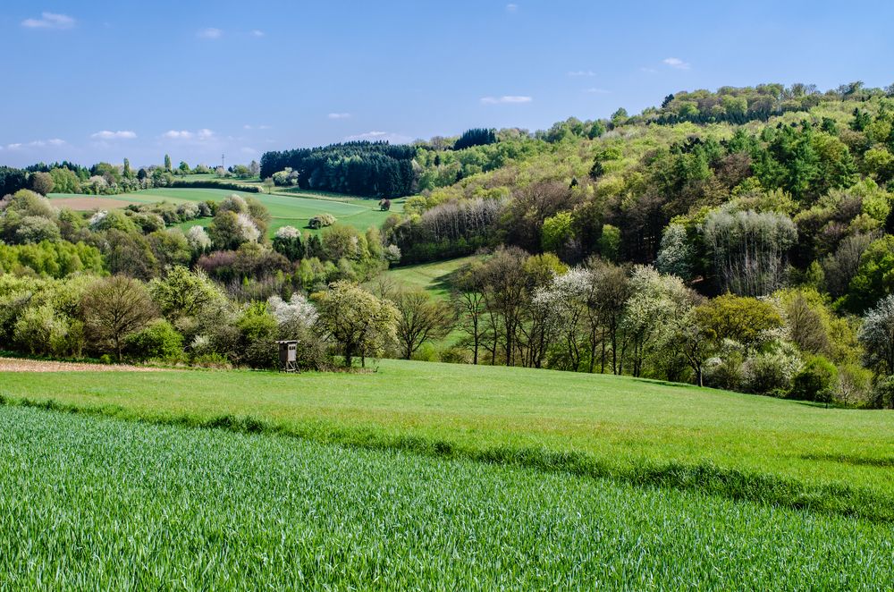 Farben des Frühlings