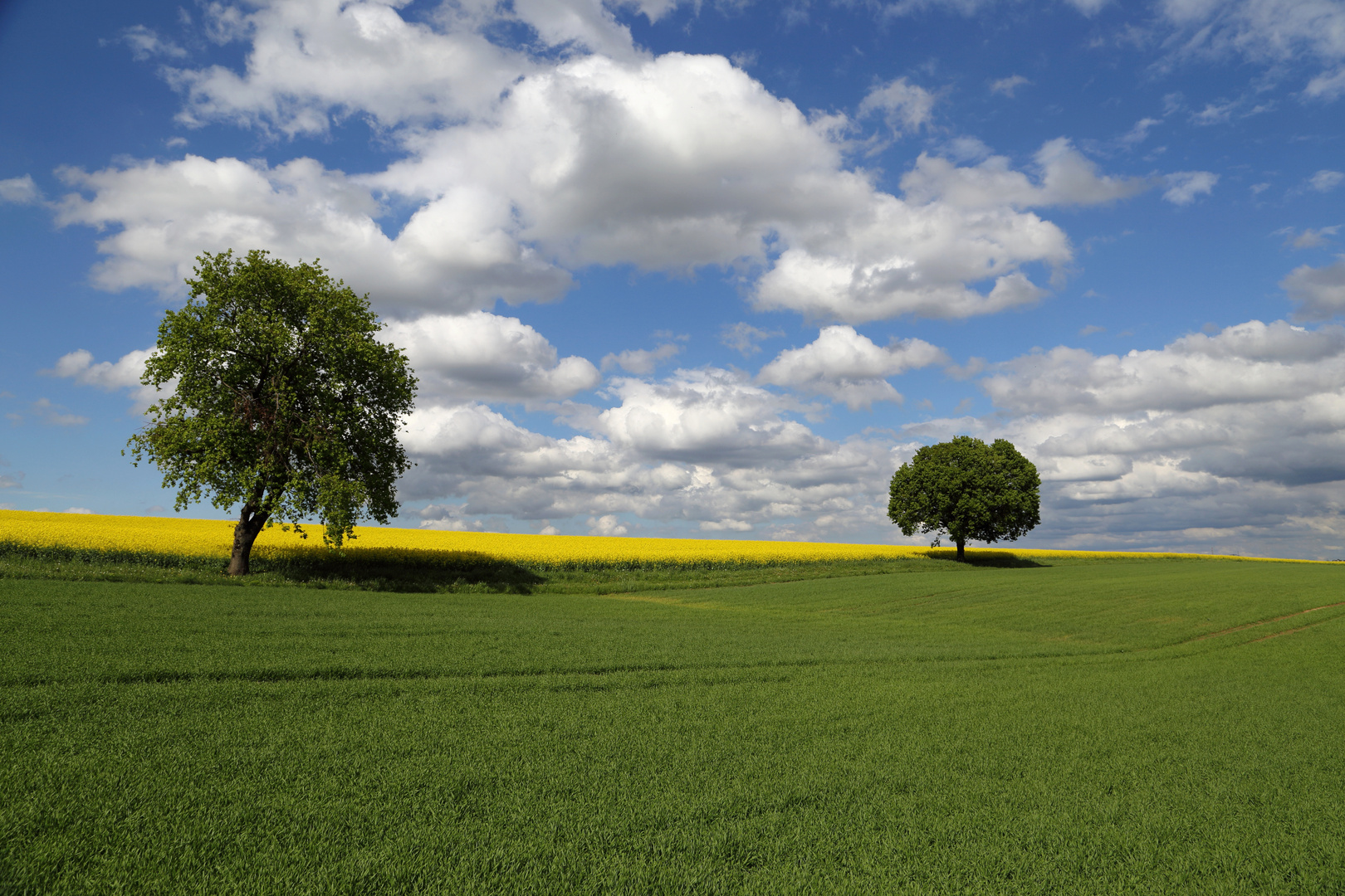 Farben des Frühlings