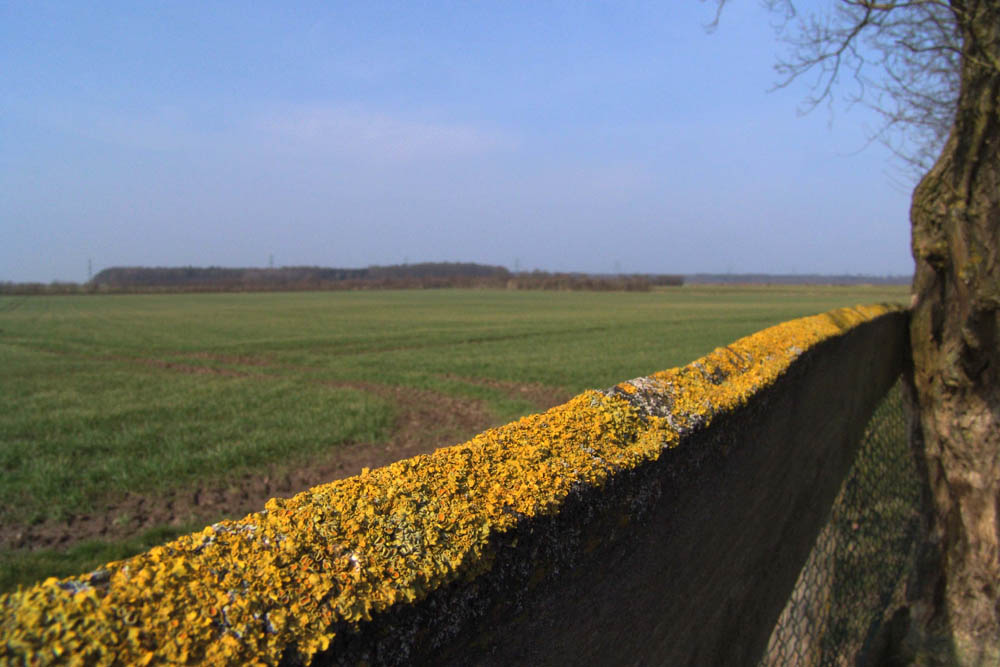 Farben des Frühlings