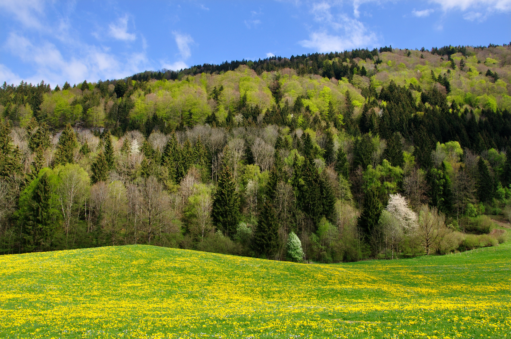 Farben des Frühlings