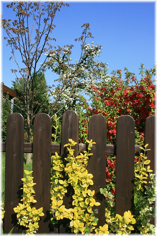 Farben des Frühlings