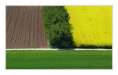 Farben des Frühlings