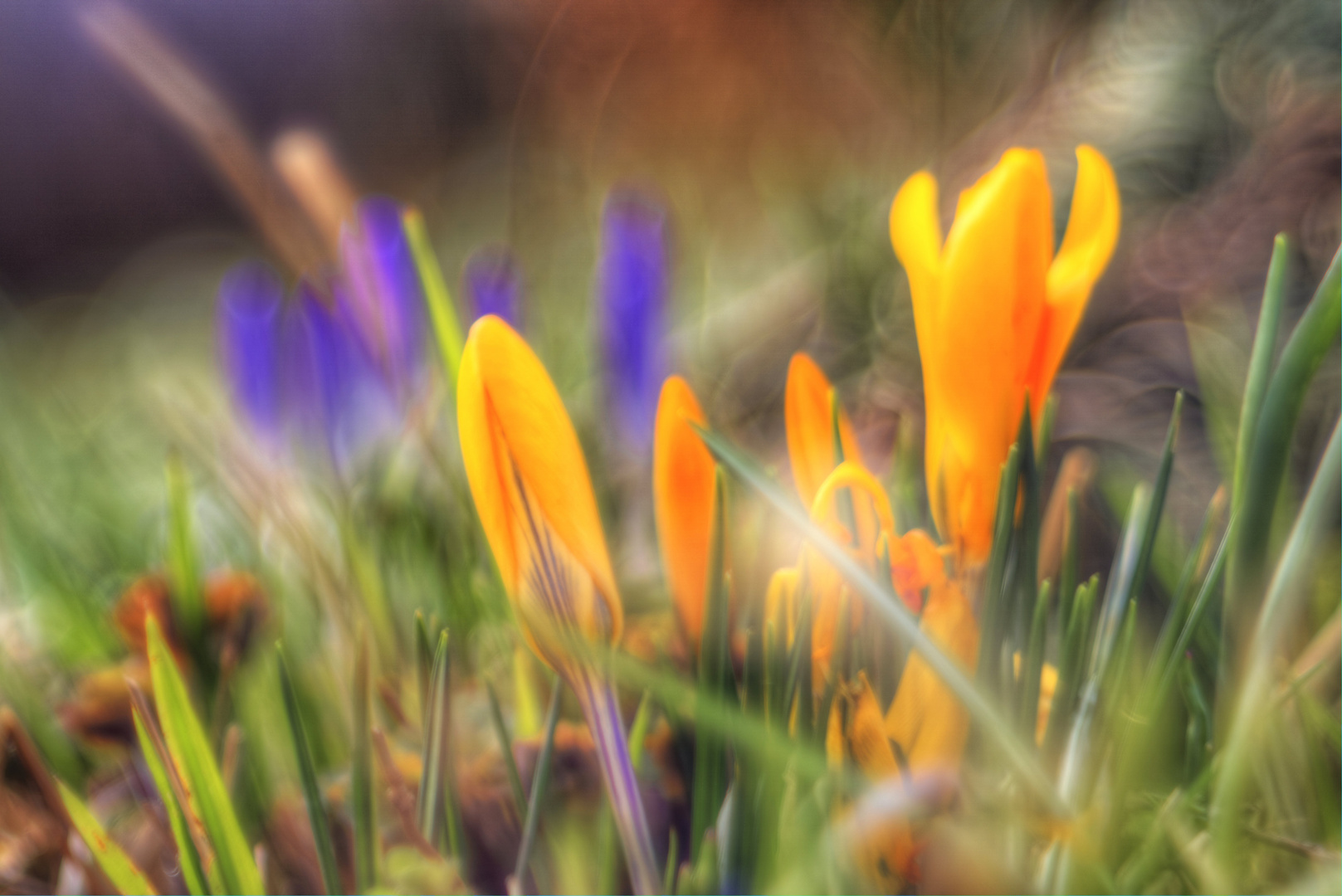 Farben des Frühlings