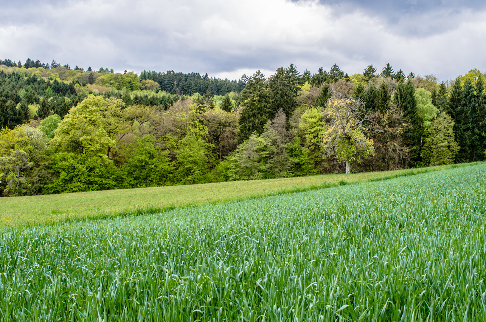 Farben des Frühlings