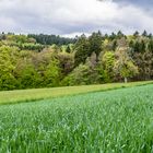 Farben des Frühlings