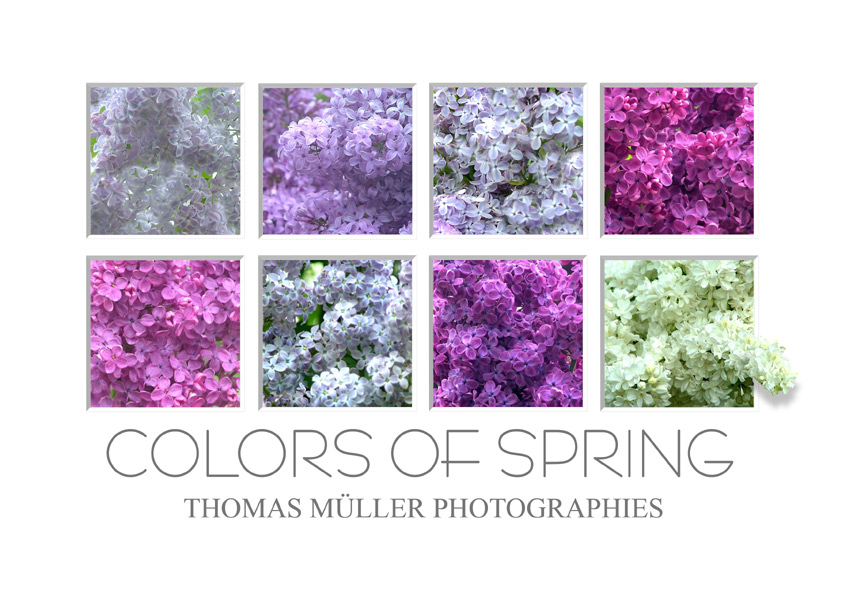 Farben des Frühlings