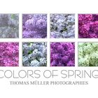 Farben des Frühlings