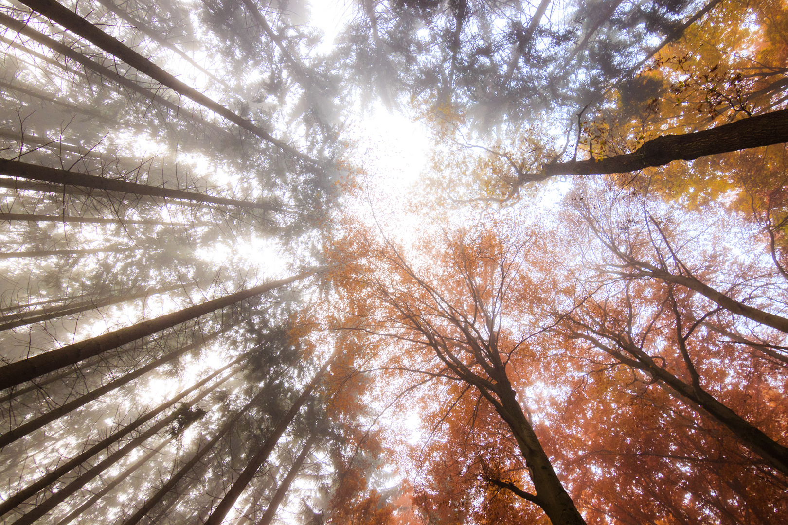 Farben des Herbst