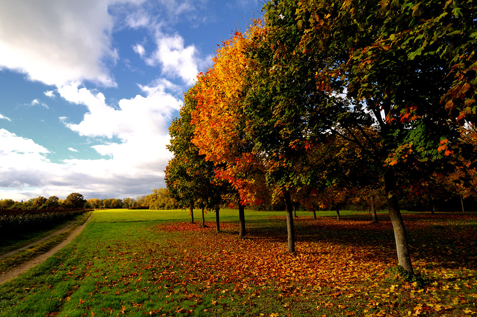 Farben des Herbst