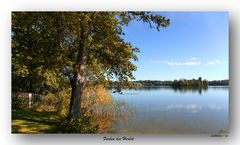 Farben des Herbst