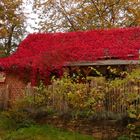 Farben des Herbst im Oberbergischen Kreis bei Grunewald